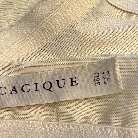 EUC Lane Bryant Cacique Lightly Padded Bra 38D - Picture 2 of 4